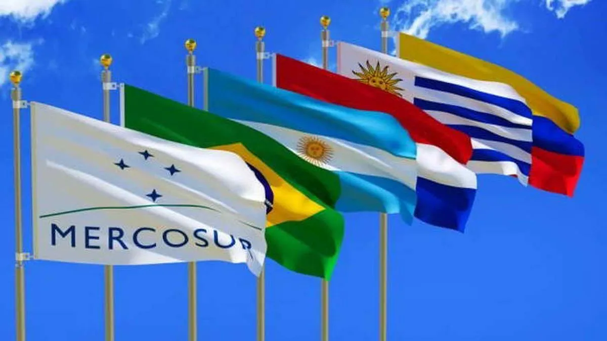 En este momento estás viendo IUSUR coordina con la Universidad Nacional de Cuyo una red académica del MERCOSUR sobre Internacionalización del Currículum